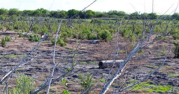 Coastal Bend water crisis no steady signal press release featured image