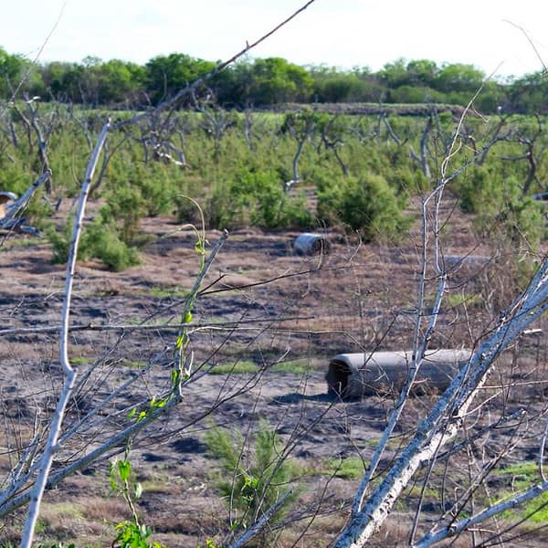 Coastal Bend water crisis no steady signal press release featured image