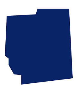 Kaufman County shape