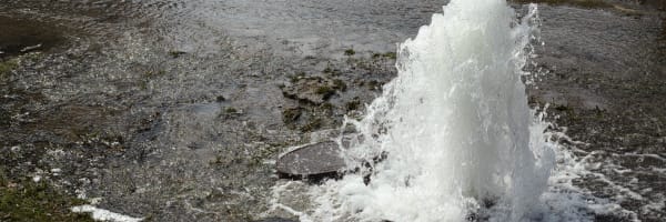 guide to growth newsletter water photo