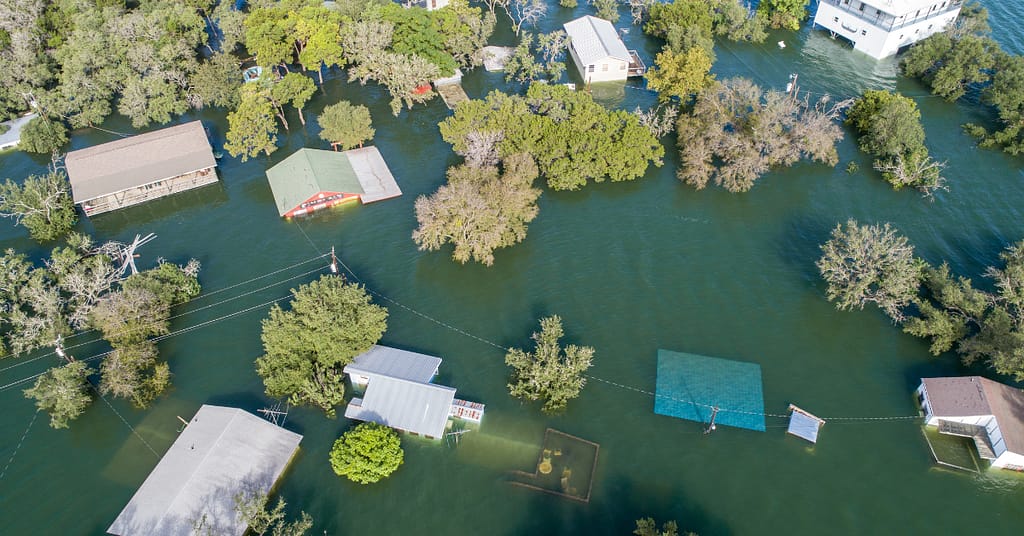 Texas flood newsletter featured image