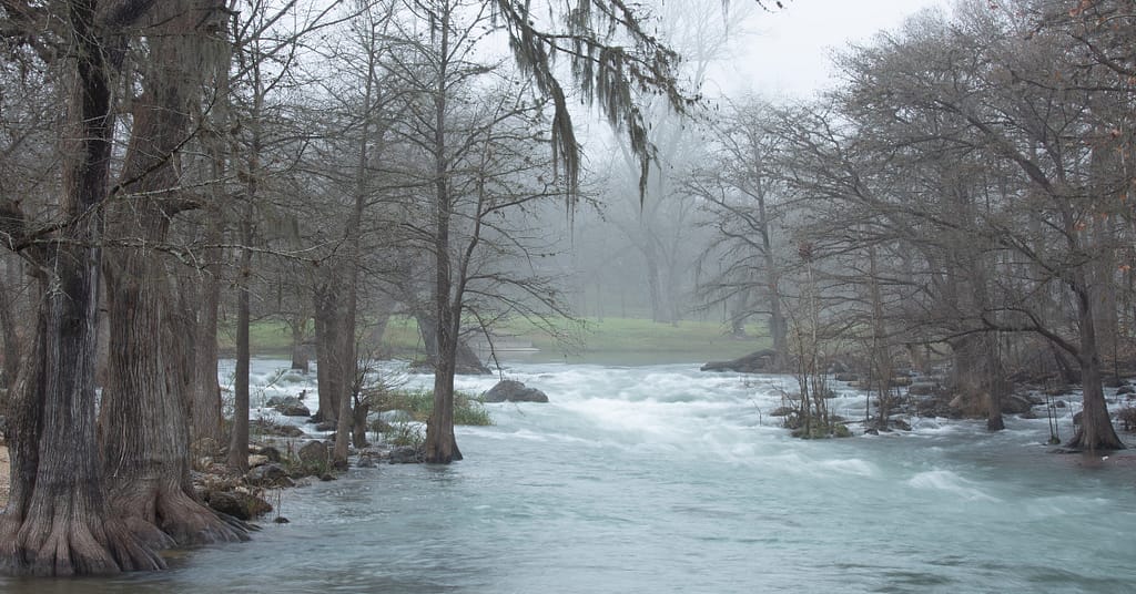 flood resilience webinar blog featured image