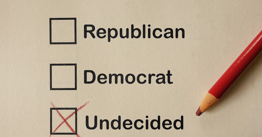 unaffiliated and undecided voter blog who are they