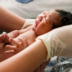 state government 101 newsletter baby image