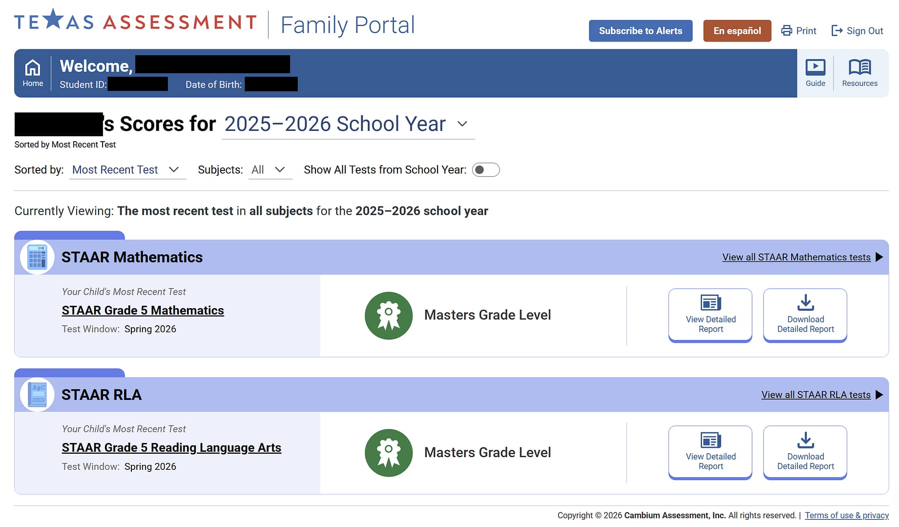 how to read STAAR results performance levels