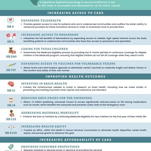 Healthy Families, Healthy Texas flyer
