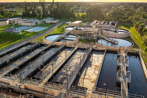 Proposition 4 passed now what? blog featured image