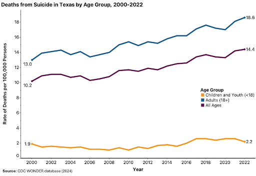 Deaths from Suicide in Texas by Age Group, 2000-2022 chart