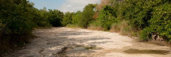 Texas drought pic