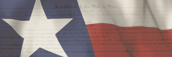 TX constitution newsletter lead image