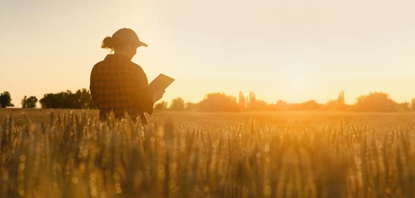Rural broadband