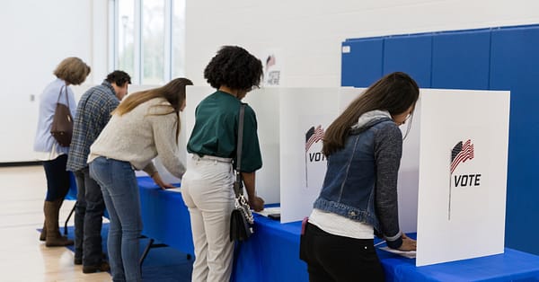voting in primary elections matters