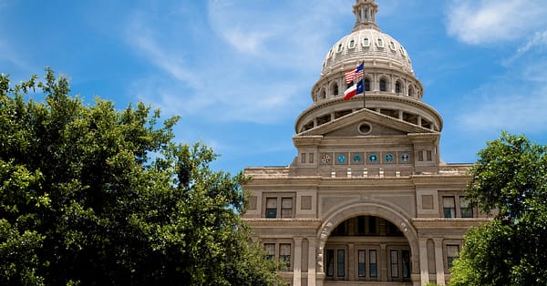 Texas voters poll newsletter featured image