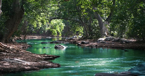 water markets press release featured image