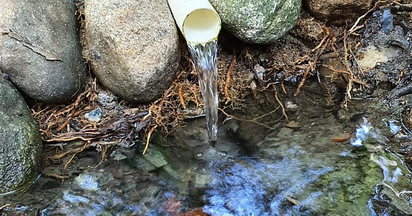 water markets report FAQ featured image