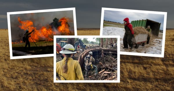 extreme weather resilience newsletter lead image