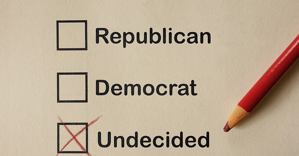 unaffiliated and undecided voter blog who are they