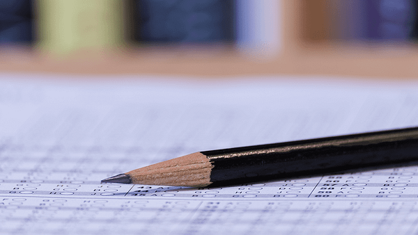 Assessment