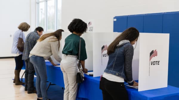 Texas primary voters picture