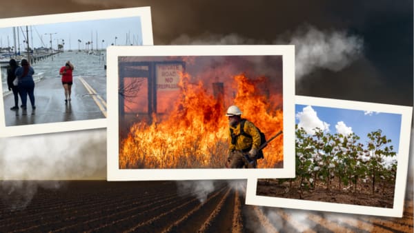 resilient Texas newsletter lead image