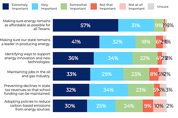 Texas Voter Poll infrastructure energy priorities