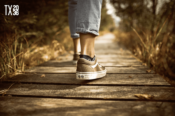 Pioneering pathways CTA image newsletter