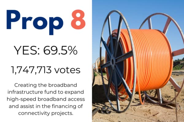 Prop 8 results constitutional amendment election newsletter