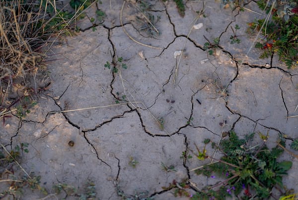 Texas resilient agenda drought image