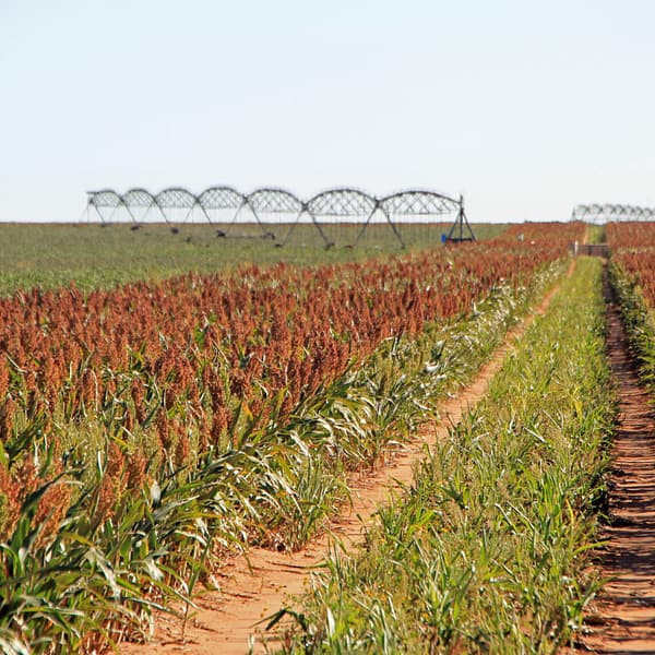 Smart Water Strategies For Texas