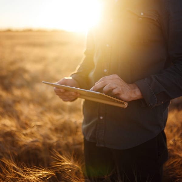 Man using a tablet in a field with the sun rising behind him