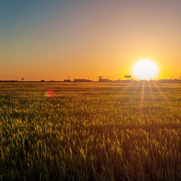Sunrise in Texas