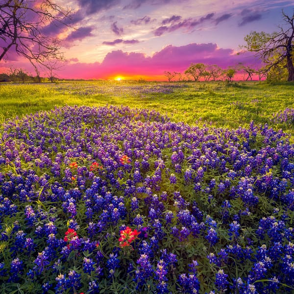 birthday, texas