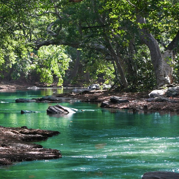 water markets press release featured image