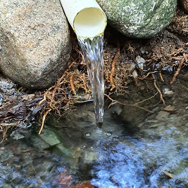 water markets report FAQ featured image