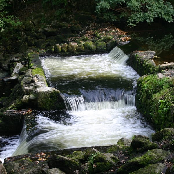 water markets for Texas blog featured image