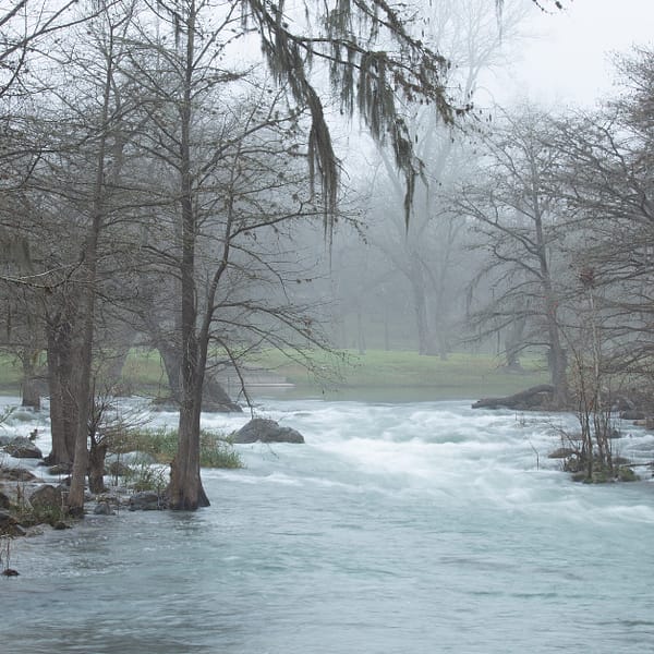 flood resilience webinar blog featured image