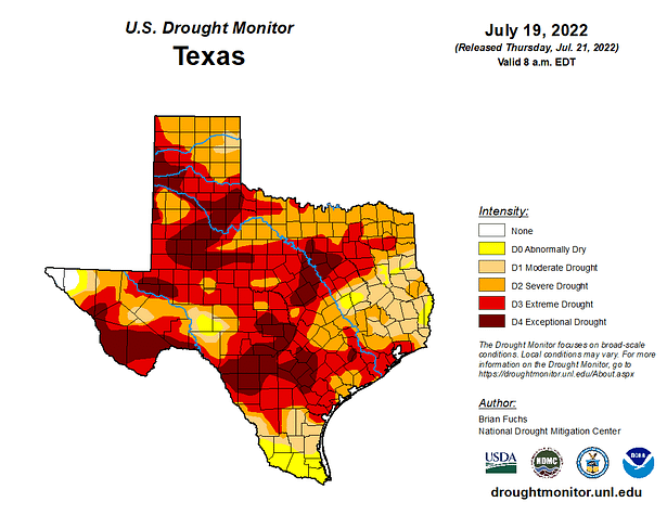 Image of the U.S. Drought Monitor for Texas. To access the map, visit https://droughtmonitor.unl.edu/CurrentMap/StateDroughtMonitor.aspx?TX