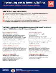 protecting TX from wildfires one-pager