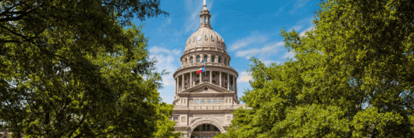 Texas voters poll newsletter lead image