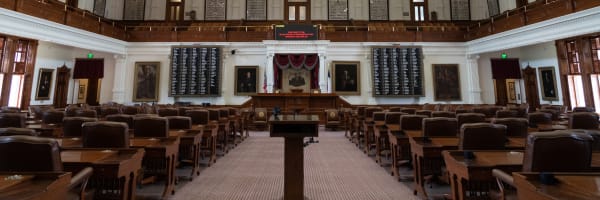 veterans day newsletter House chamber