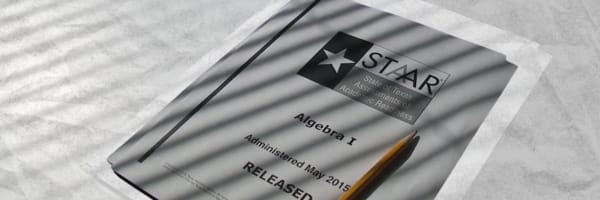 STAAR booklet